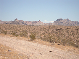 Side Trip to Oatman